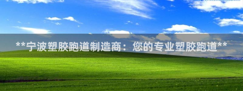 红足1世手机下载：**宁波塑胶跑道制造商：您的专业塑胶跑道**