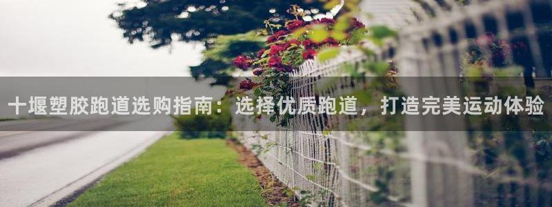 333814红·足一世比分：十堰塑胶跑道选购指南：选择优质跑道，打造完美运动体验