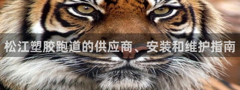 红足1世足球比分：松江塑胶跑道的供应商、安装和维护指南