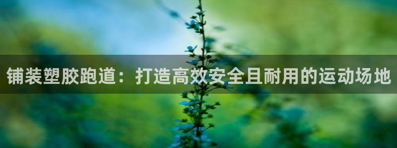红足一1世手机版赛果：铺装塑胶跑道：打造高效安全且耐用的运动场地