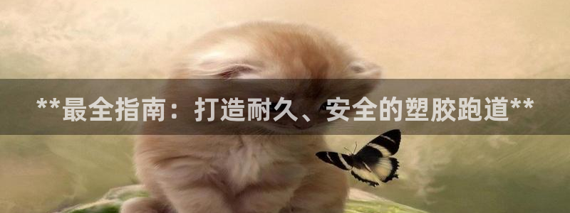 新2足球平台出租网站：**最全指南：打造耐久、安全的塑胶跑道**