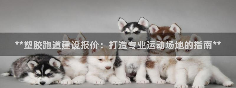 红足一丰：**塑胶跑道建设报价：打造专业运动场地的指南**