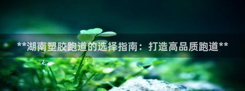红足1世足球：**湖南塑胶跑道的选择指南：打造高品质跑道**