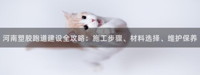 红足一1世：河南塑胶跑道建设全攻略：施工步骤、材料选择、维护保养