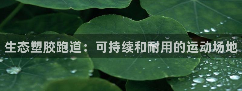 红足1一世 2站：生态塑胶跑道：可持续和耐用的运动场地