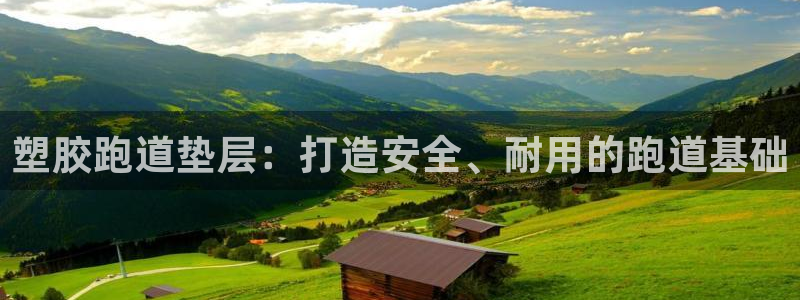 百度红足一1是为什么：塑胶跑道垫层：打造安全、耐用的跑道基础