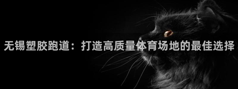 红足1世足球网址：无锡塑胶跑道：打造高质量体育场地的最佳选择