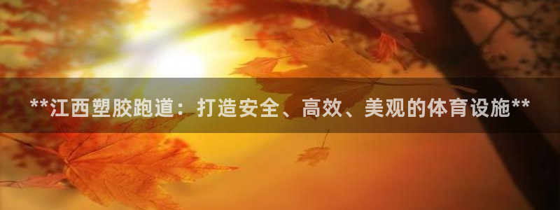 红足一一世足球网开奖记录：**江西塑胶跑道：打造安全、高效、美观的体育设施**
