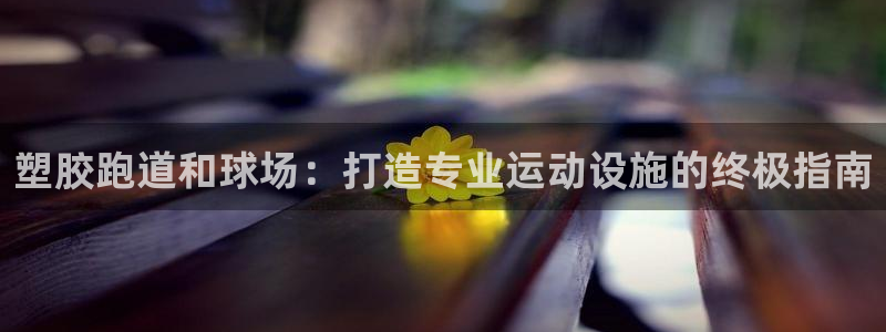 红足一1世平台：塑胶跑道和球场：打造专业运动设施的终极指南