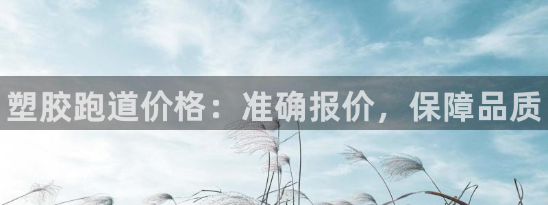 红足1世足球网址：塑胶跑道价格：准确报价，保障品质
