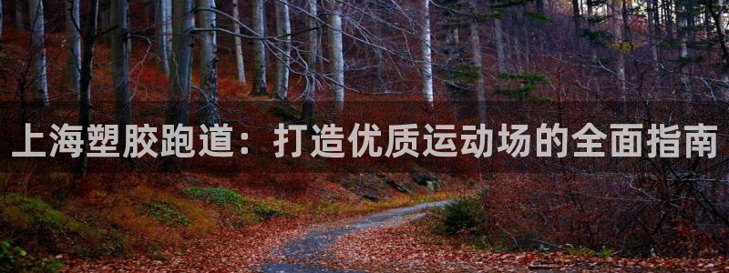红足一1世手机版新皇冠：上海塑胶跑道：打造优质运动场的全面指南