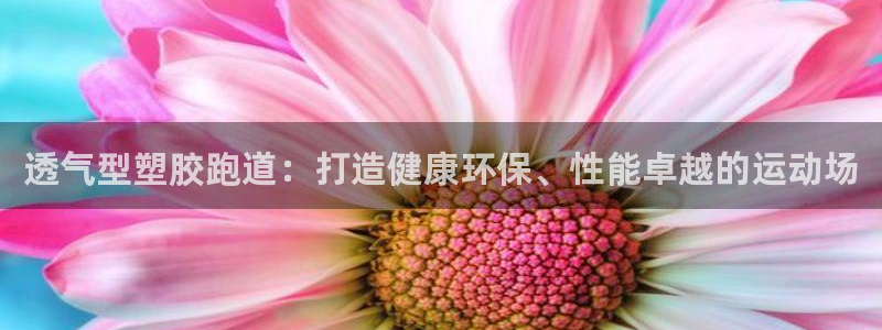 红足1世手机板：透气型塑胶跑道：打造健康环保、性能卓越的运动场
