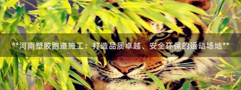 红足一1世666814足球比分网：**河南塑胶跑道施工：打造品质卓越、安全环保的运动场地**