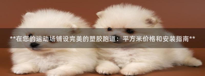 红足一1世官网足球推荐真人：**在您的运动场铺设完美的塑胶跑道：平方米价格和安装指南**