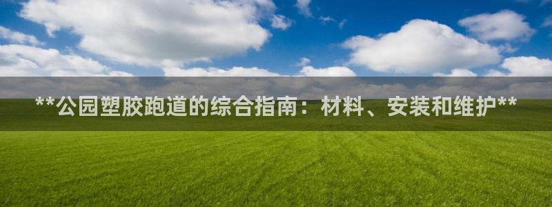 红足一1世皇冠：**公园塑胶跑道的综合指南：材料、安装和维护**