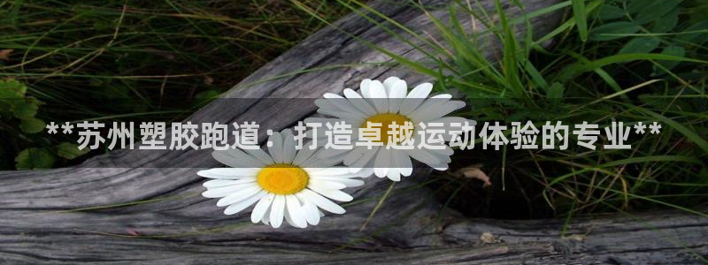 红足一一世：**苏州塑胶跑道：打造卓越运动体验的专业**