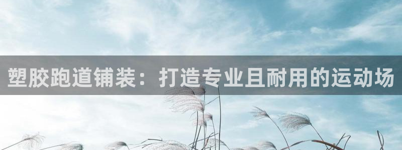 333814红·足一世比分：塑胶跑道铺装：打造专业且耐用的运动场