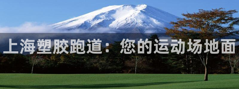 66814红足一66814世：上海塑胶跑道：您的运动场地面