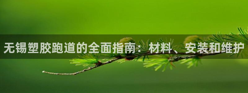 红足一1世66814：无锡塑胶跑道的全面指南：材料、安装和维护
