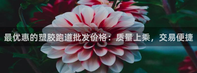 333814红足1世：最优惠的塑胶跑道批发价格：质量上乘，交易便捷