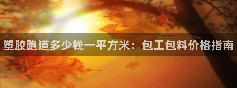 红足一1世皇冠登录：塑胶跑道多少钱一平方米：包工包料价格指南