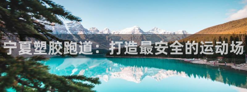 红足1世足球比分：宁夏塑胶跑道：打造最安全的运动场