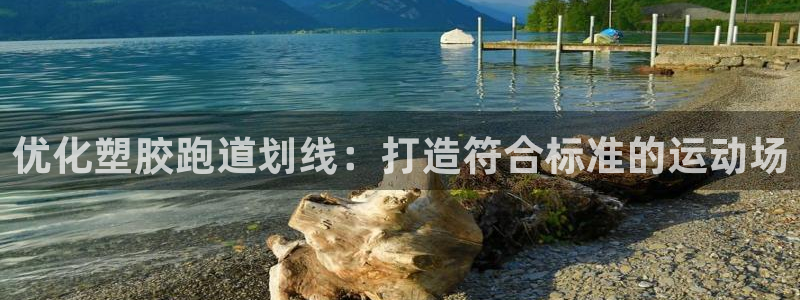 红足一1世手机版赛果：优化塑胶跑道划线：打造符合标准的运动场