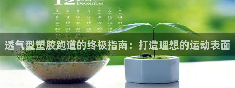 红足一1世皇冠登录：透气型塑胶跑道的终极指南：打造理想的运动表面