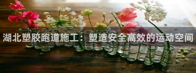 红足1世足球比分 localhost：湖北塑胶跑道施工：塑造安全高效的运动空间