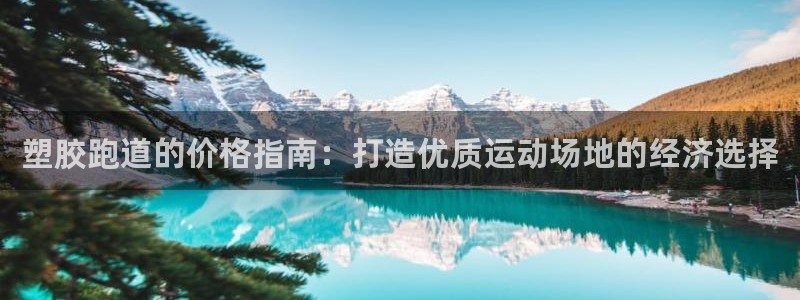 红足一球：塑胶跑道的价格指南：打造优质运动场地的经济选择