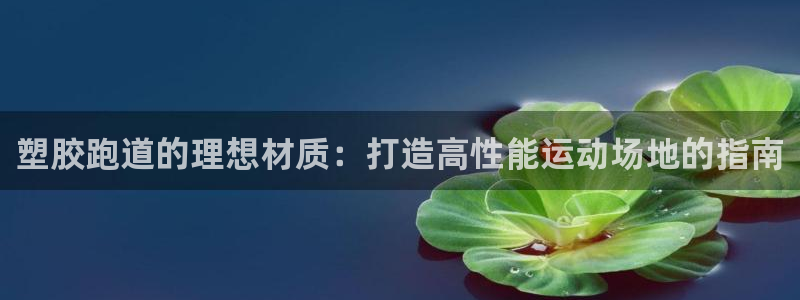 红足一1世皇冠地址：塑胶跑道的理想材质：打造高性能运动场地的指南