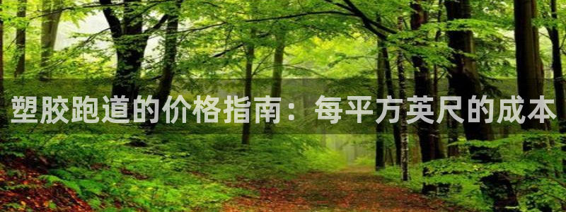 红足一1世77814：塑胶跑道的价格指南：每平方英尺的成本