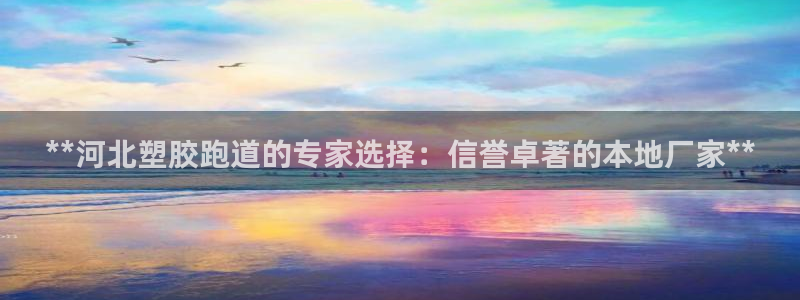 百度红足一1是为什么：**河北塑胶跑道的专家选择：信誉卓著的本地厂家**