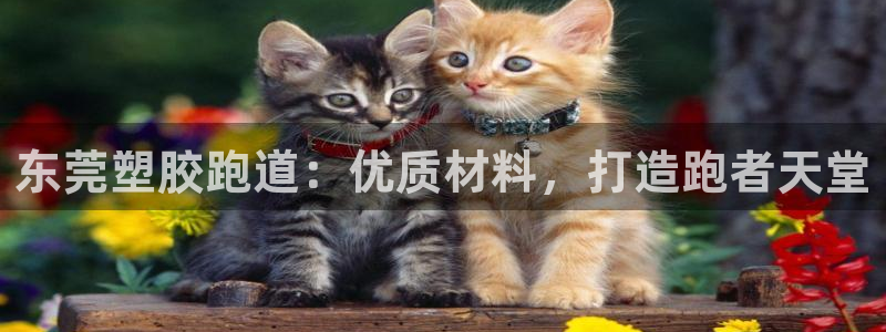 红足体育网：东莞塑胶跑道：优质材料，打造跑者天堂