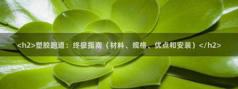 红足1世手足球比分：<h2>塑胶跑道：终极指南（材料、规格、优点和安装）</h2>