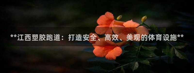 红足一1世皇冠地址：**江西塑胶跑道：打造安全、高效、美观的体育设施**