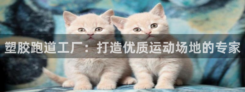 百度红足一1是为什么：塑胶跑道工厂：打造优质运动场地的专家