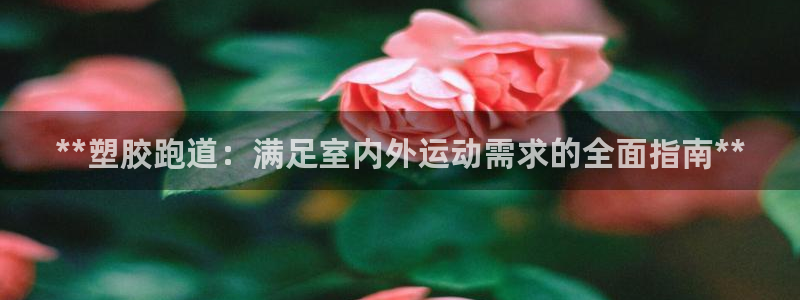 红足一1世比分