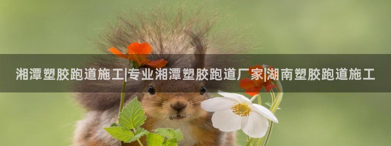 66814红足一66814世：湘潭塑胶跑道施工|专业湘潭塑胶跑道厂家|湖南塑胶跑道施工