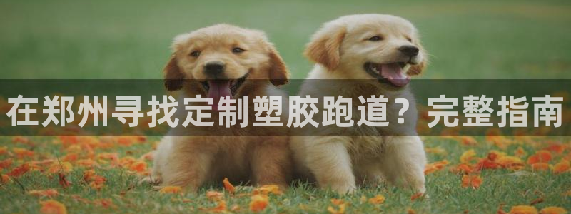 红足网足球直播