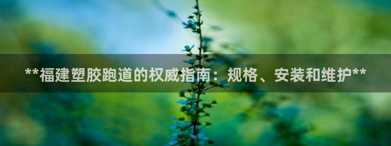 红足1世足球比分预测