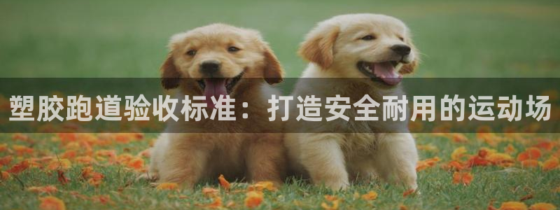 777814红·足一世比分