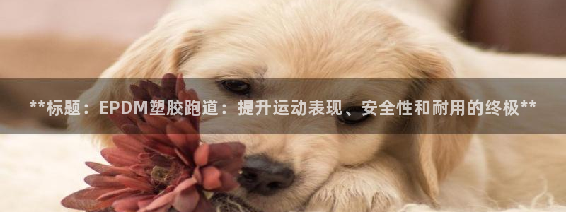 百度红足一1使用说明