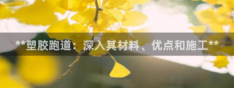 红足i世足球手机网