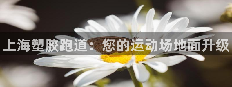 红足一1世手机版赛果