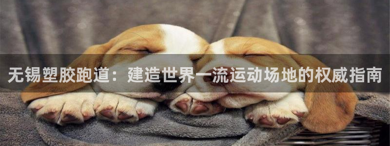 红足1世足球网址