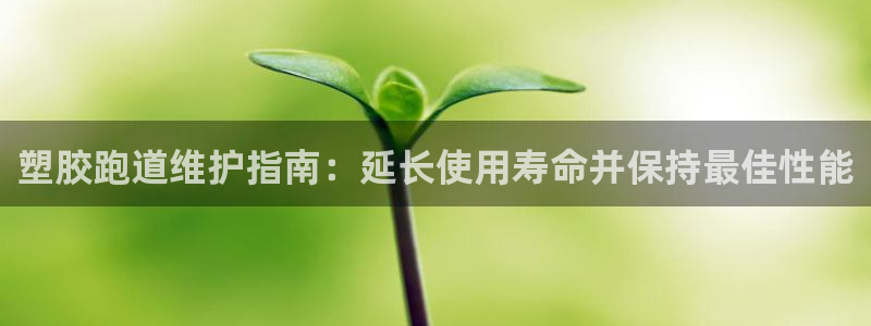 红足1世足球比分预测