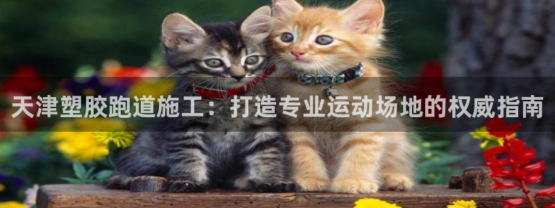 红足1一世