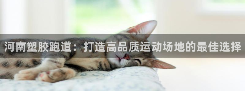 百度红足一1使用说明
