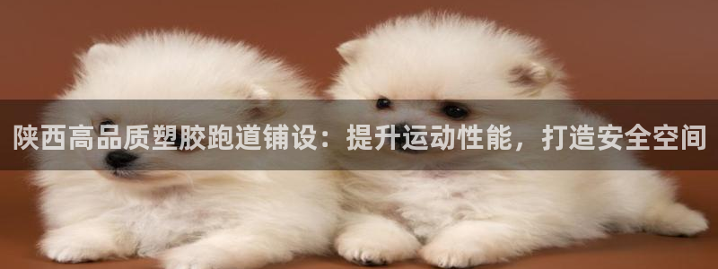 红足1世足球